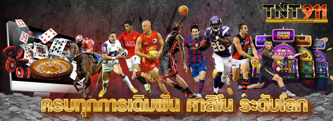 tnt191 เว็บตรง